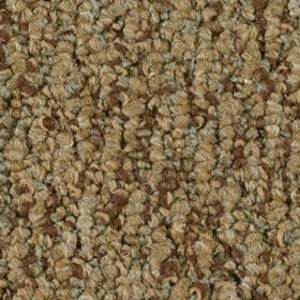 Shaw Carpet Direct Link 16201 Contact