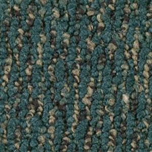 Shaw Carpet Direct Link 16401 Dial Up