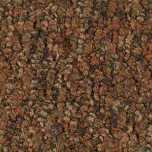 Shaw Carpet Direct Link 16600 Express Service