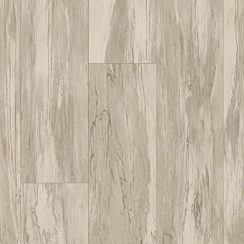 Pergo Extreme Wider Longer 2021 Ecru PT008-801