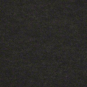 Shaw Carpet Backdrop I 6 702 Saddle