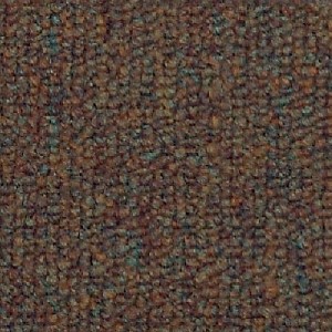 Shaw Carpet Dividend 26 UNI 80103 Loan Officer