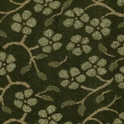 Anderson Tuftex Carpet Tuftex Arbor Fiji