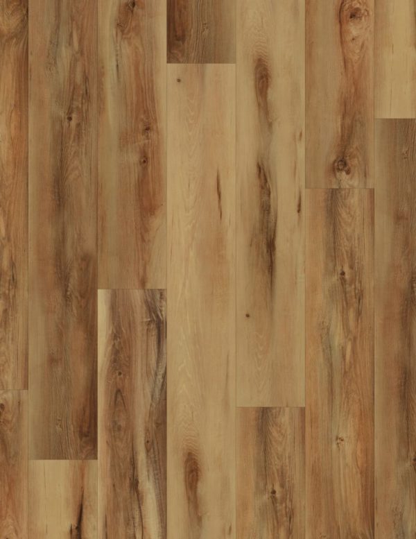 COREtec Pro Plus Belmont Hickory
