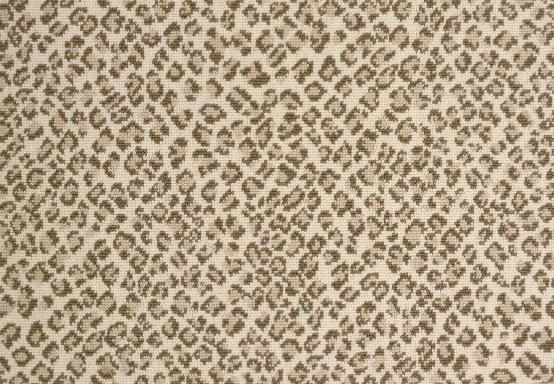 Stanton Carpet Felix Cameo