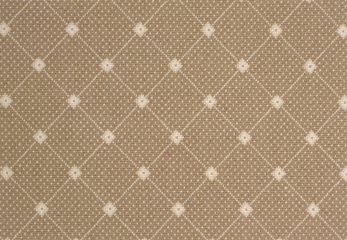 Stanton Carpet Andromeda Driftwood