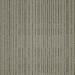 Shaw Immerse Carpet Tile Employ 87700
