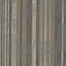 Shaw Doers Carpet Tile Explorer 00203