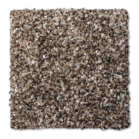 Phenix carpet Invitational Fashion 210
