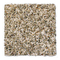 Phenix carpet Griffith Park Golden Dawn 103