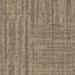 Shaw Raw Beauty 54843 Ingenious 00705