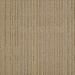 Shaw Immerse Carpet Tile Intensify 87205