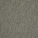 Shaw Zing 54796 Joyous 96500