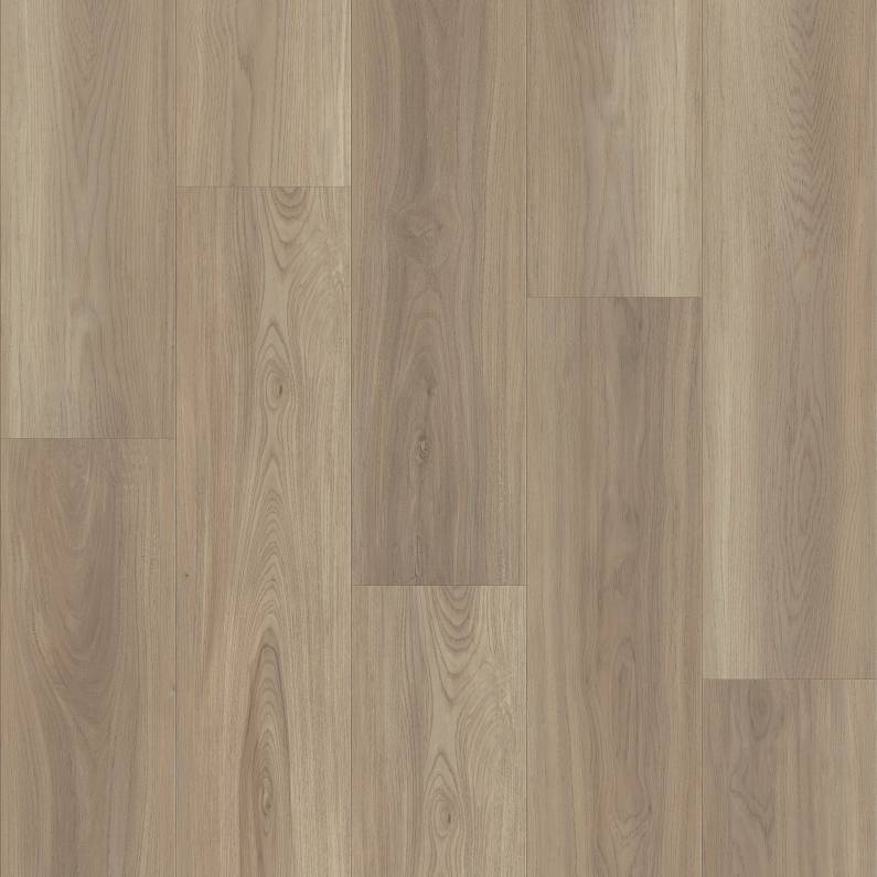 Shaw Floorte' Pro Paramount 512C Plus 509SA 05091 Lighthouse