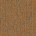 Shaw Philadelphia Carpet tile Crazy Smart Magnetic 00610