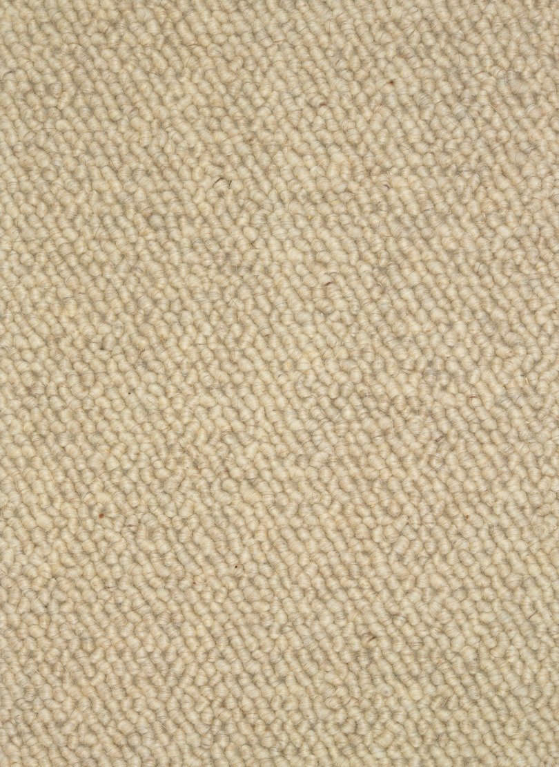 Stanton Carpet Colorado Mustang