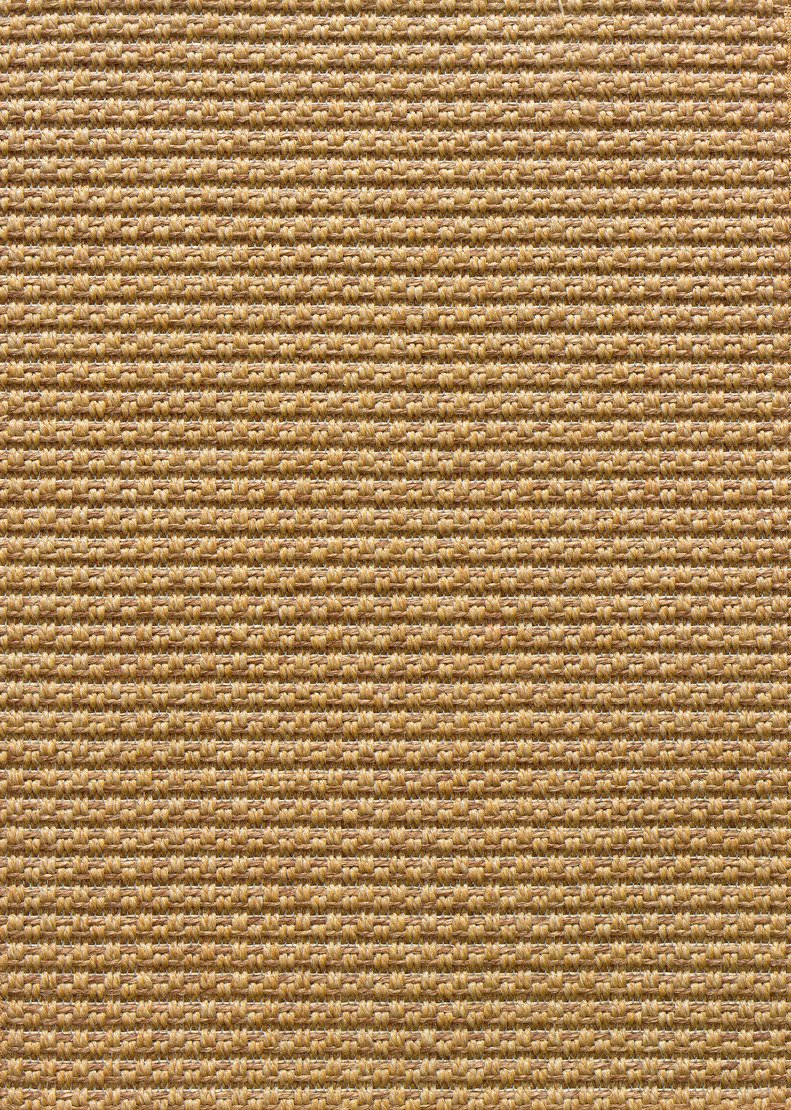 Stanton Carpet Costa Rica Nutmeg