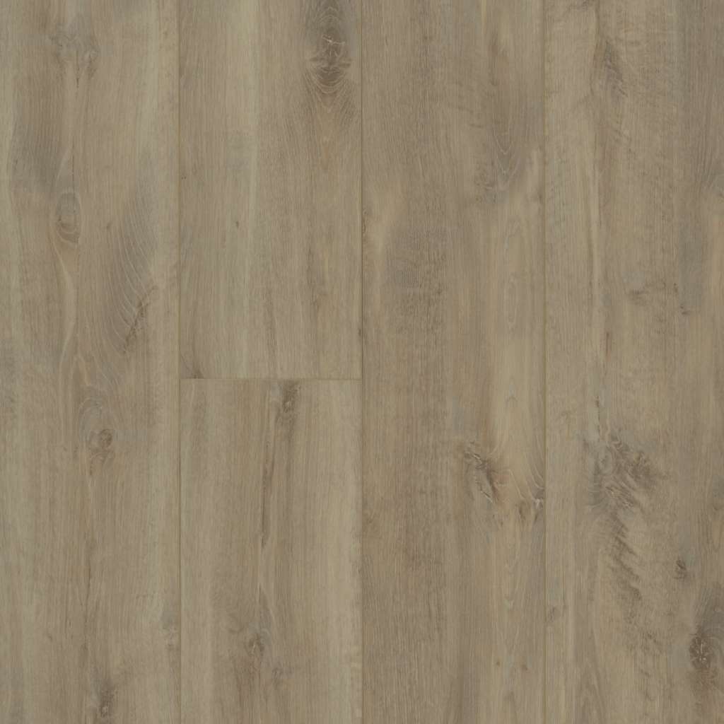 Shaw Floorte Allegiance Plus Accent Riverside Oak (Sample) Discount
