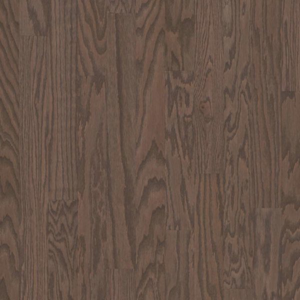 Shaw Albright Oak Kona LG 3-1/4" SW581-07091