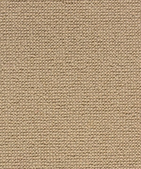 Stanton Carpet Cooper Sand
