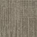 Shaw Raw Beauty 54843 Savvy 00100