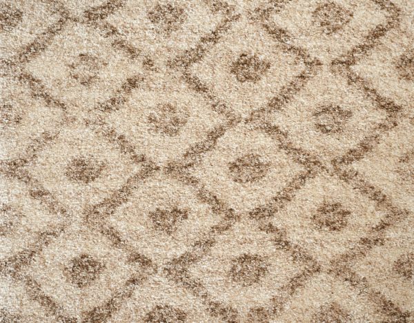 Stanton Carpet Farah Seashell