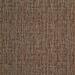 Shaw Mystify Carpet Tile Shock 00800