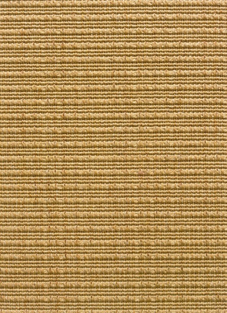 Stanton Carpet Cedara Sisal Discount Pricing
