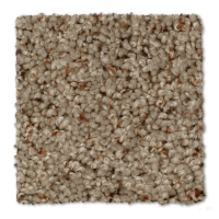 Phenix carpet Grove Landing Starduster 10