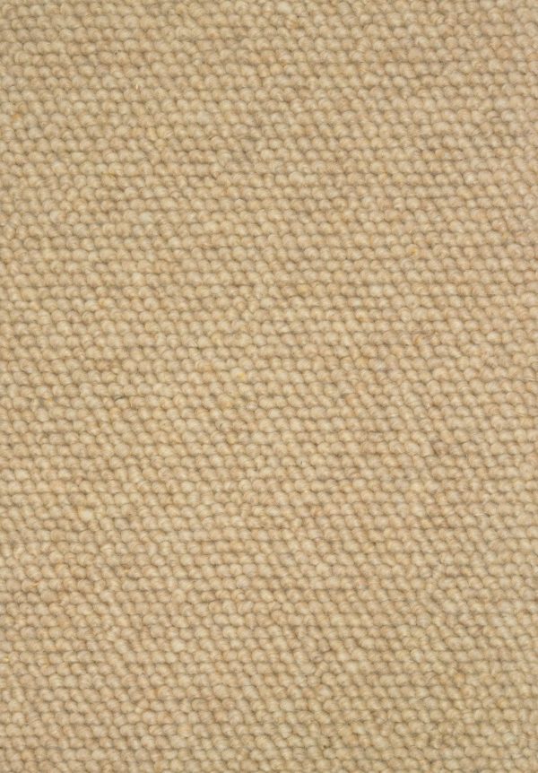 Stanton Carpet Colorado Sundance