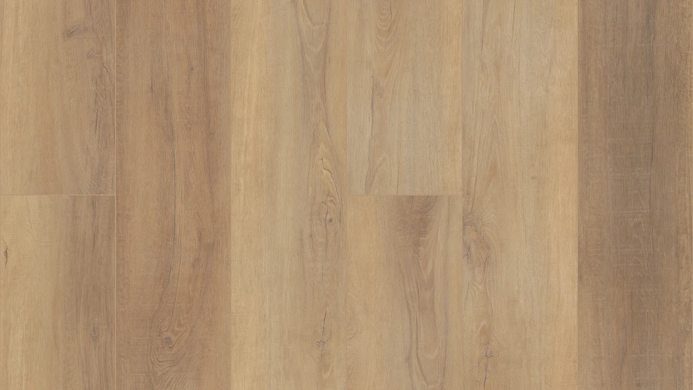 COREtec Pro Plus Enhanced HD Canterbury Elm