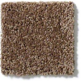 Tuftex Forever Vintage Brown 00775