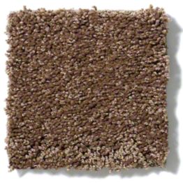 Tuftex One Sweet Day Vintage Brown 00775