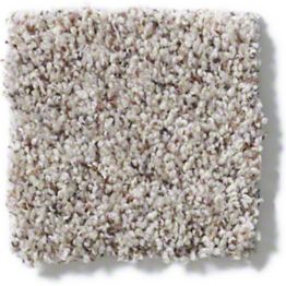 Tuftex The Next Move Weathered Gray 00572
