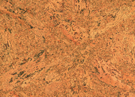 Wicanders Cork Original Accent 35 /8" x 11 5/8" (High Performance Surface) C141001
