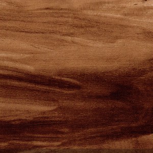 Happy Feet Enduring Elegance Acacia