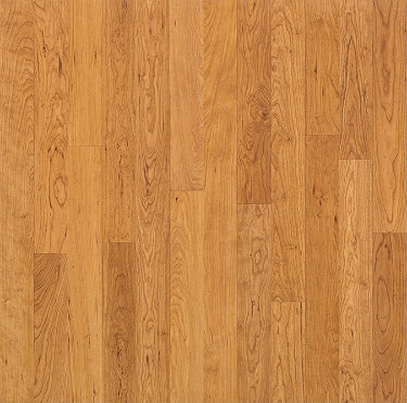 Birch Laminate Flooring Image Collections Flooring Tiles Design