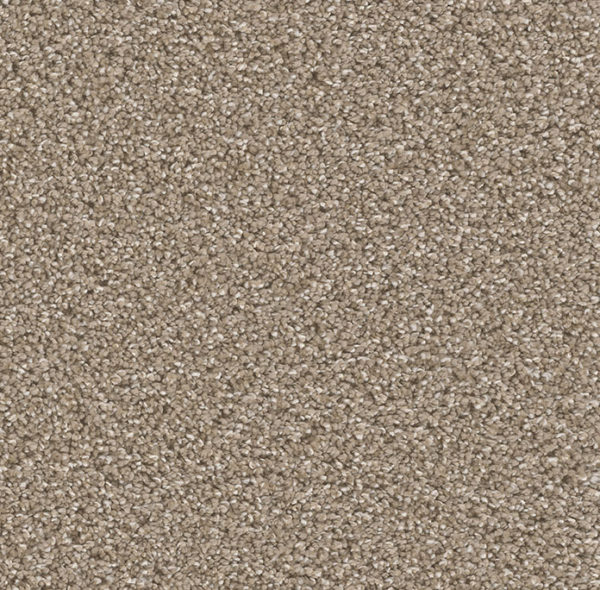 Dream Weaver Carpet Can't Miss Acorn