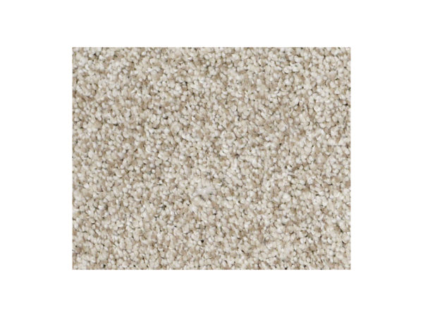 Shaw Carpet Anso Colorwall Titanium Colorwall Anchorage