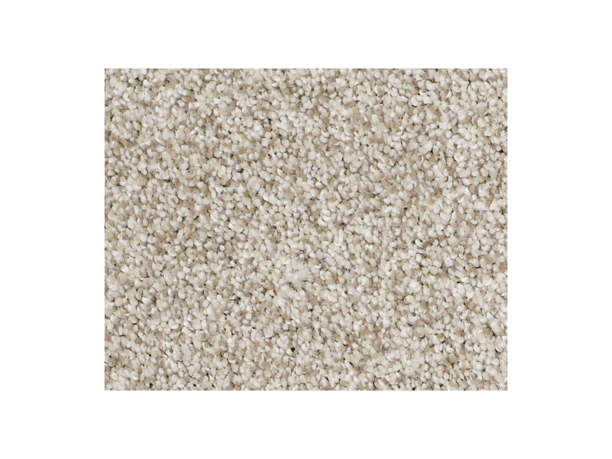 Shaw Carpet Anso Colorwall Titanium Colorwall Anchorage