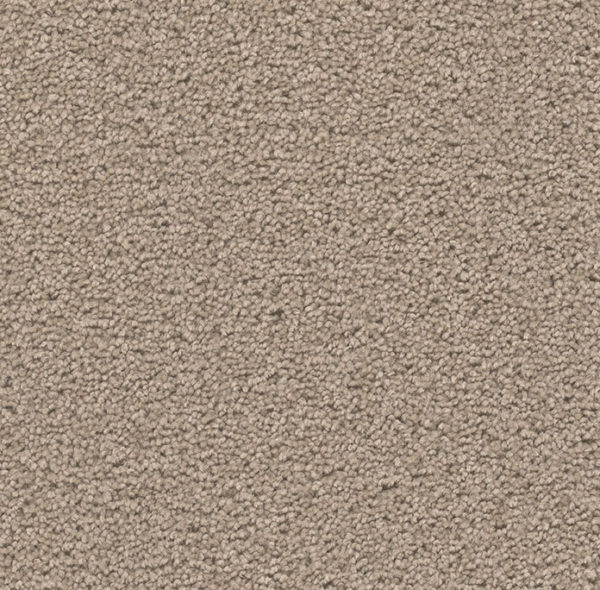 Dream Weaver Carpet Broadcast Plus Ash