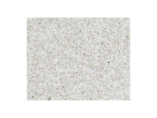 Shaw Carpet Anso Colorwall Titanium Colorwall Aspen