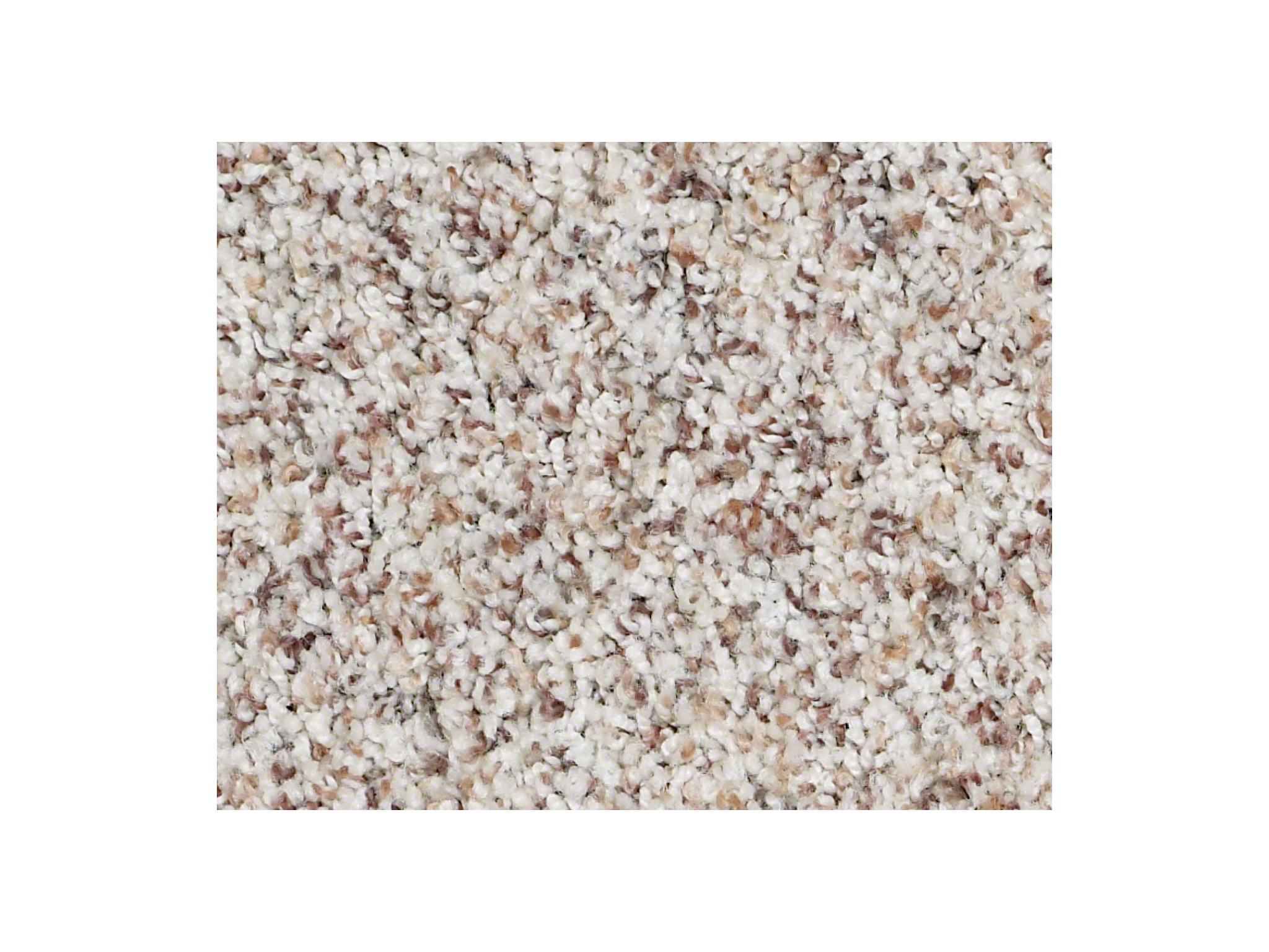 Shaw Carpet Anso Colorwall Titanium Accent Aspen Twist