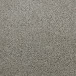 Lexmark Carpet Tender S1048 13370 Assurance