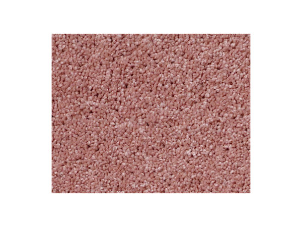 Shaw Carpet Anso Colorwall Platinum Twist Azalea Bloom