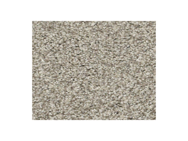 Shaw Carpet Anso Colorwall Find Your Comfort TT Blue Back Patio