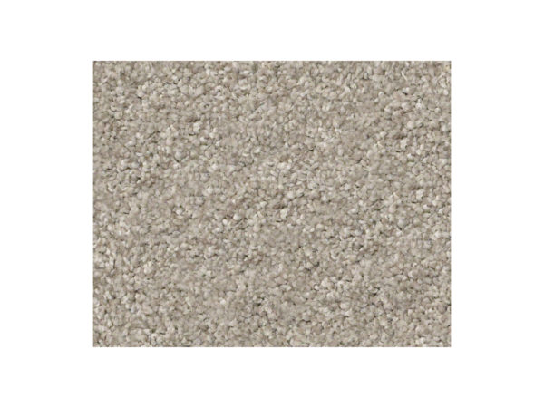 Shaw Carpet Anso Colorwall Find Your Comfort NS I Back Patio