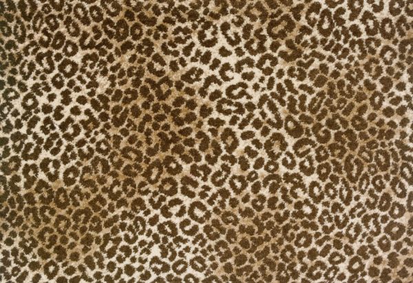 Stanton Carpet Lake Jaguar Beige Brown
