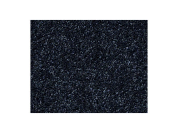 Shaw Carpet Anso Colorwall Titanium Texture Belize Blue