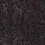 Mohawk Great Outdoors Black Walnut